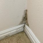 Corner of a wall with mold