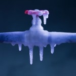 Frozen Faucet