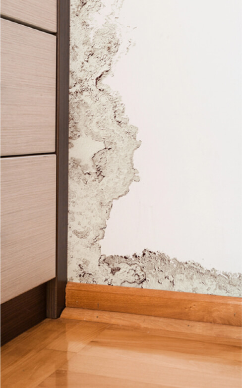 damage-caused-by-damp-on-a-wall-in-modern-house