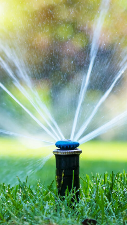img - irrigation-system-home-garden-automatic-lawn-sprinkler-watering-green-grass