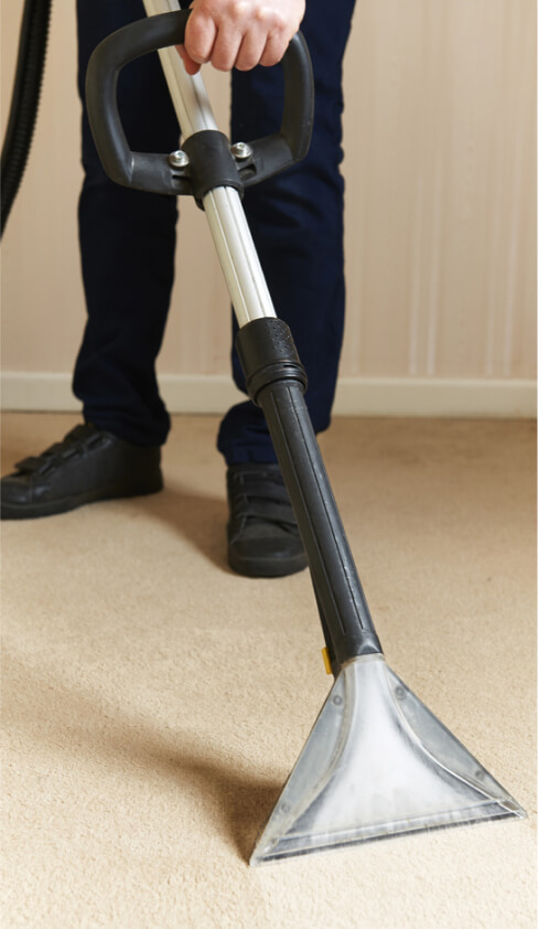 professionally cleaning carpets