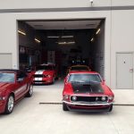 A collection of Ford Mustangs