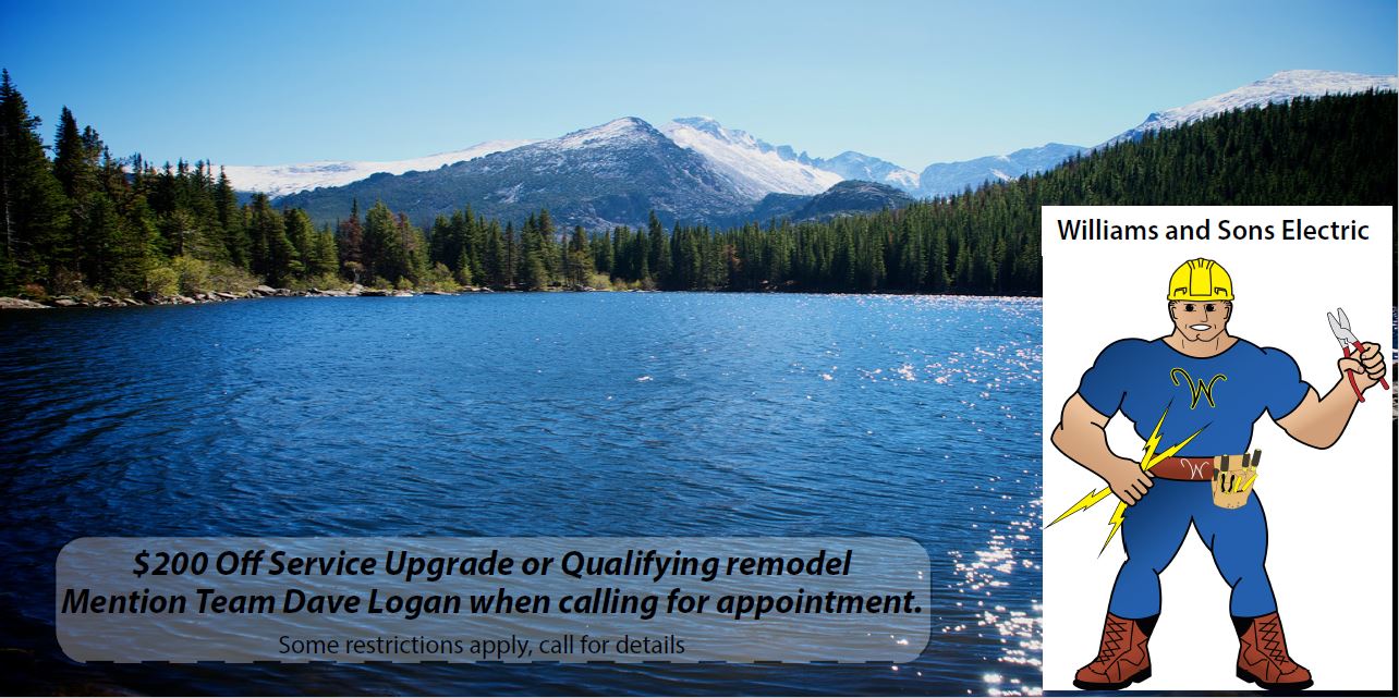 Williams and Sons Electric ad banner