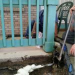 concrete laborer using jackhammer to break concrete floor
