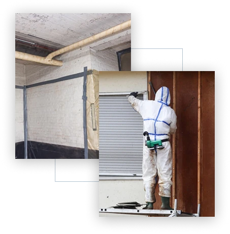 Asbestos Contractors